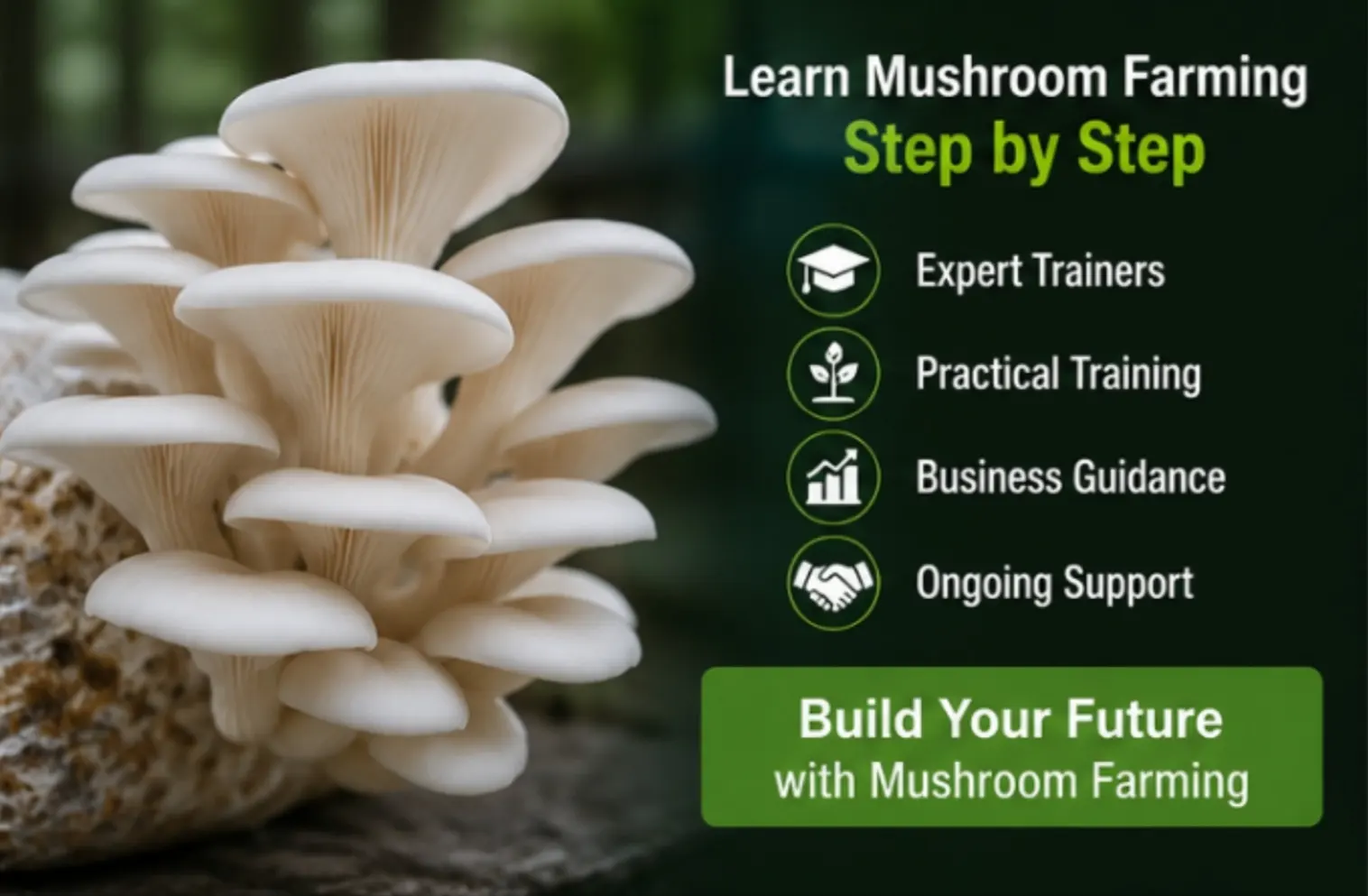 Oyster mushroom farming training